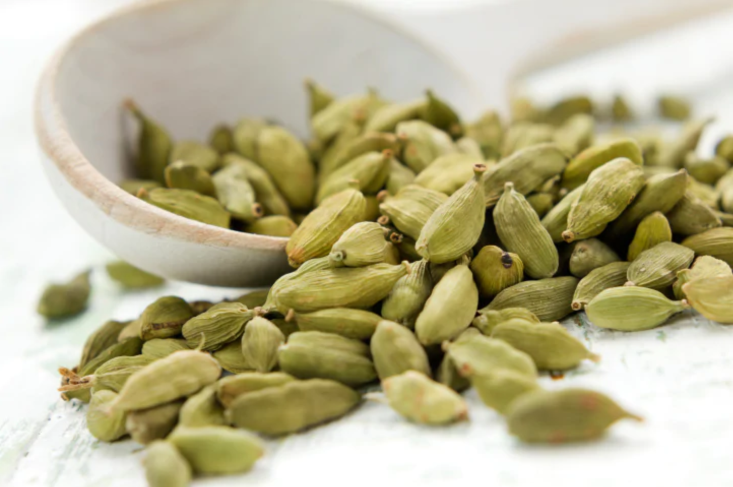 Green Elephant Cardamom